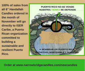 Puerto Rico is Not for Sale - November Fundraiser