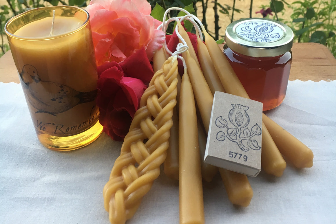 5784 New Year Collection