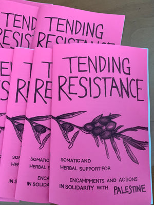 Tending Resistance: Somatic and Herbal Support for Encampments and Actions in Solidarity with Palestine