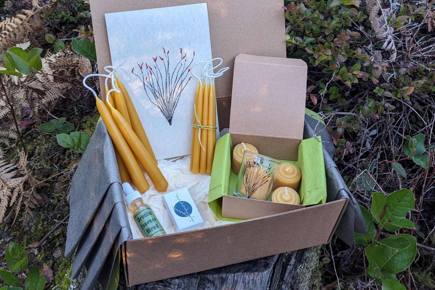 Creative Ritual Subscription