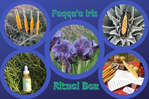 Seasonal Ritual Subscription