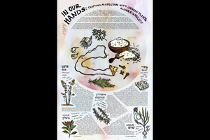 image of a poster with handwritten, typed and artfully arranged text in different languages with handdrawn illustrations of herbs and salt