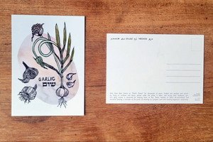 Jewish Plant Magic Postcard Set (24 Postcards)