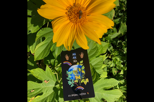 DIRT GEMS: A Botanical Oracle Deck & Guidebook