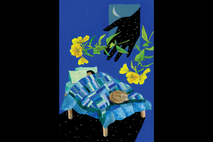 DIRT GEMS: A Botanical Oracle Deck & Guidebook