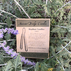 a descriptive box meant for shabbat candles is nestled into a plant