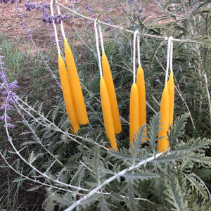 four pairs of beeswax candles hang from a line